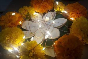 Diwali celebration