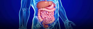 gastroenterology