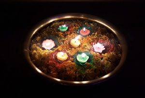 Diwali celebration